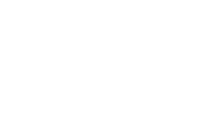 Capital Region Economic Development Council logo