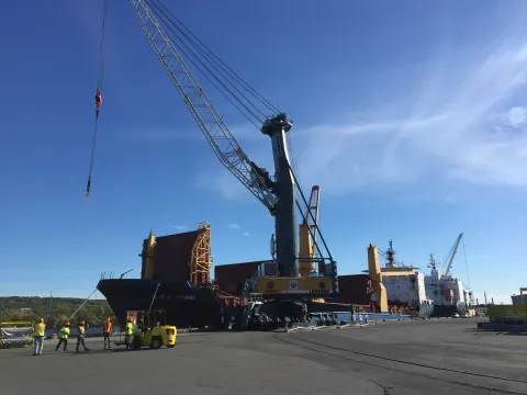 busy dock with workers 