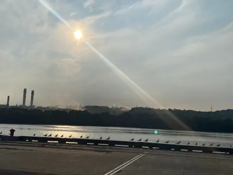 Gulls lined up along the dock on a hazy morning